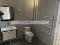 其它图