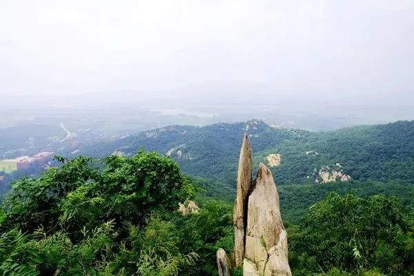 微信图片_20230512160450.jpg